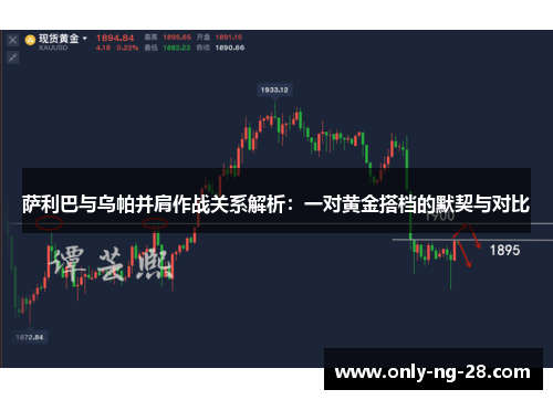 萨利巴与乌帕并肩作战关系解析：一对黄金搭档的默契与对比