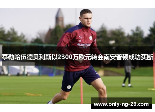 泰勒哈伍德贝利斯以2300万欧元转会南安普顿成功买断